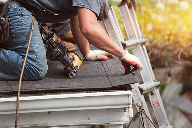 Best Roof Gutter Cleaning  in Quail Creek, TX